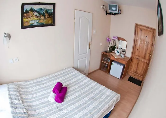 Victoria 홈스테이 카르파츠